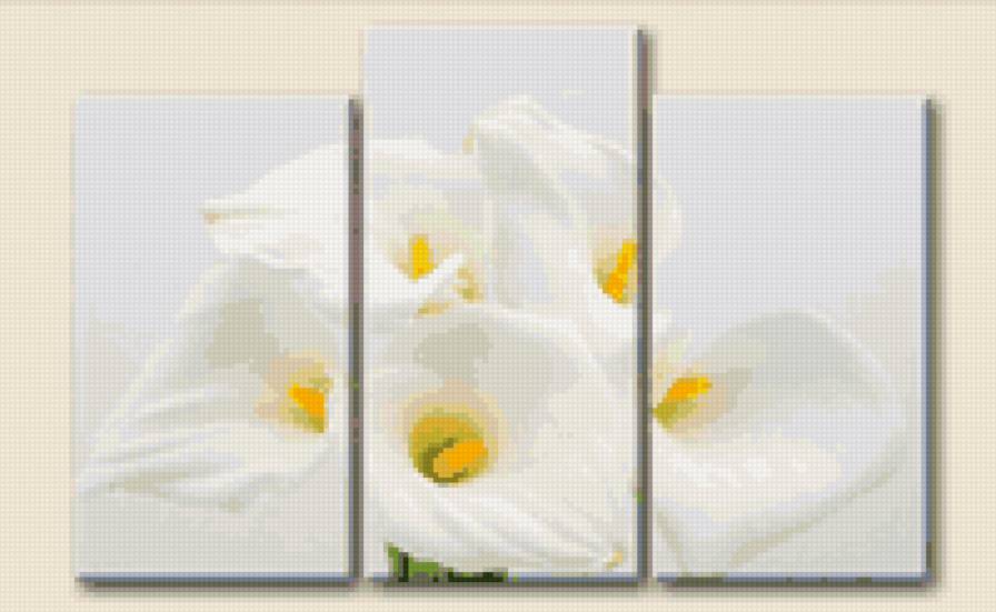 каллы - цветы, триптих, букет - предпросмотр