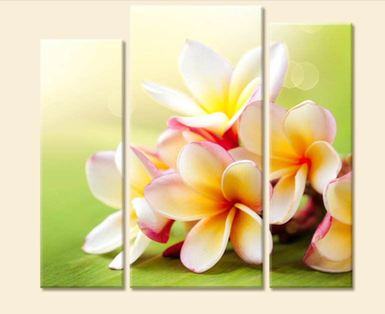 красочный букетик - триптих, букет, цветы - оригинал