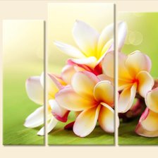 Схема вышивки «красочный букетик»