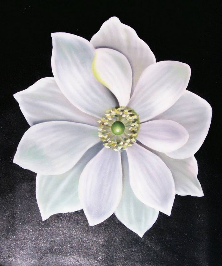 Цветок. - живопись, цветы, джорджия о'киффи - оригинал