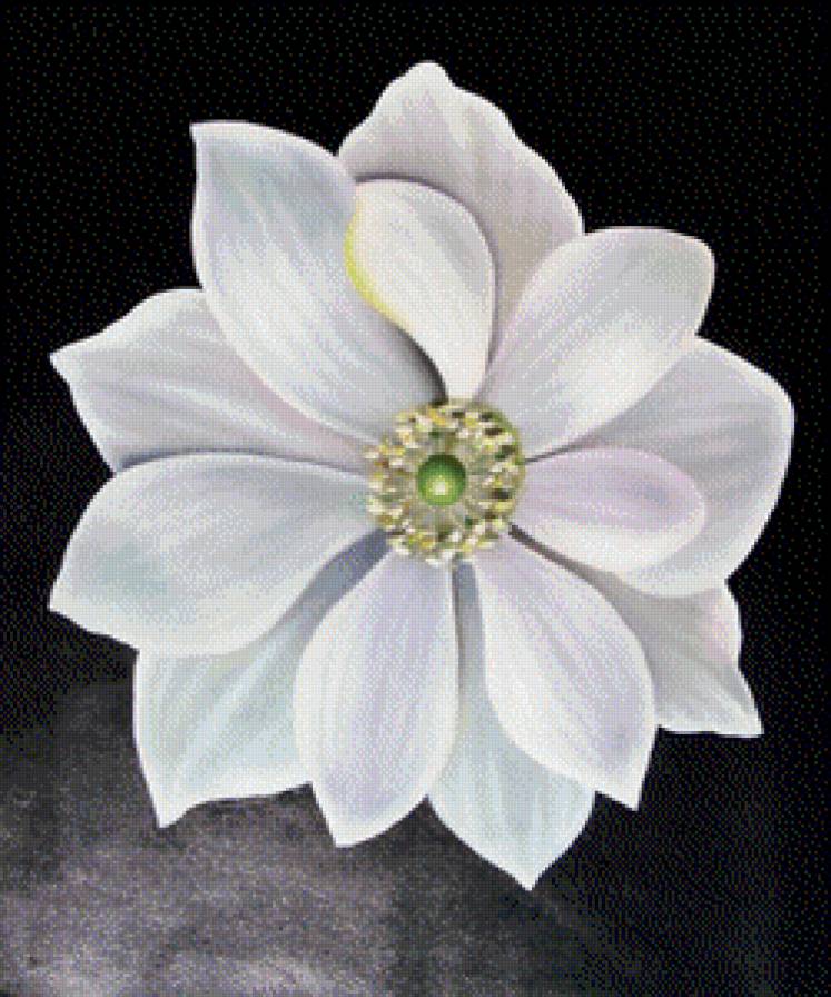 Цветок. - джорджия о'киффи, живопись, цветы - предпросмотр