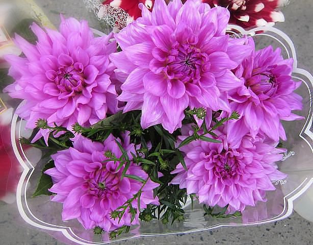 №601455 - оригинал