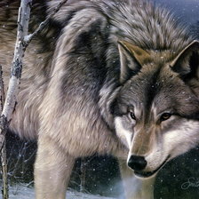 Схема вышивки «одинокий волк»