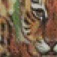 Предпросмотр схемы вышивки «тигрята» (№601505)