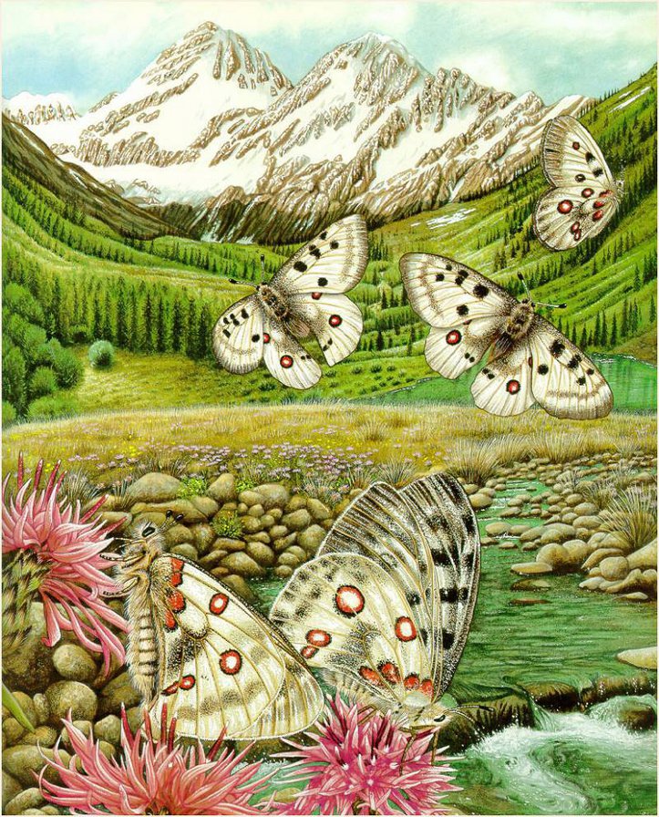 пейзаж с бабочками - картина - оригинал