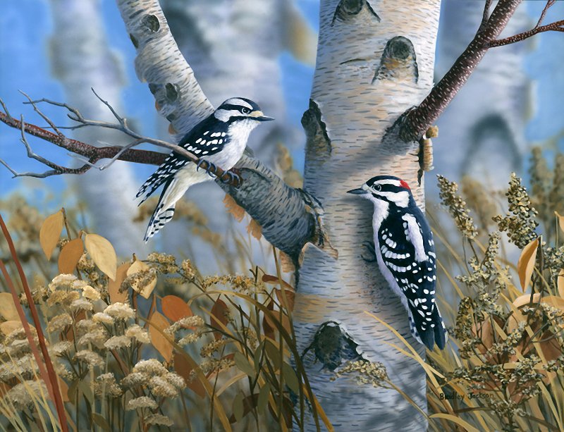 птички на берёзе - картина птицы - оригинал