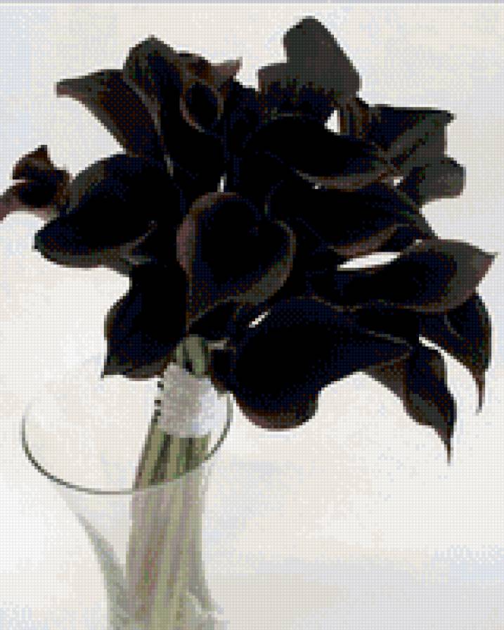 черные каллы - цвет, букет, цветы - предпросмотр