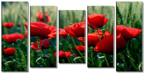 maki - maki - оригинал