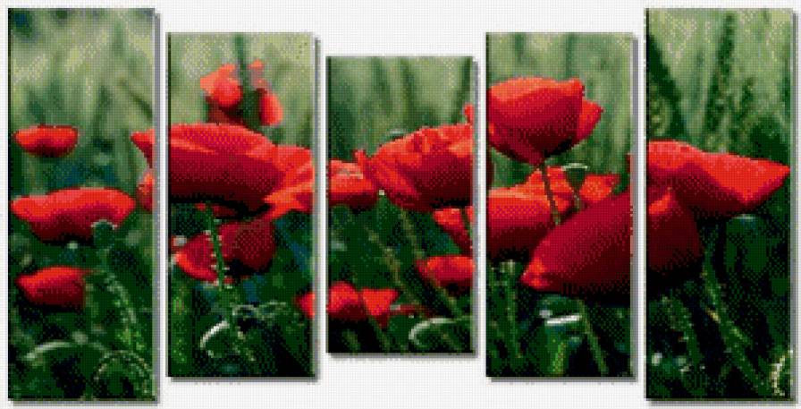 maki - maki - предпросмотр