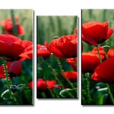 Схема вышивки «maki»