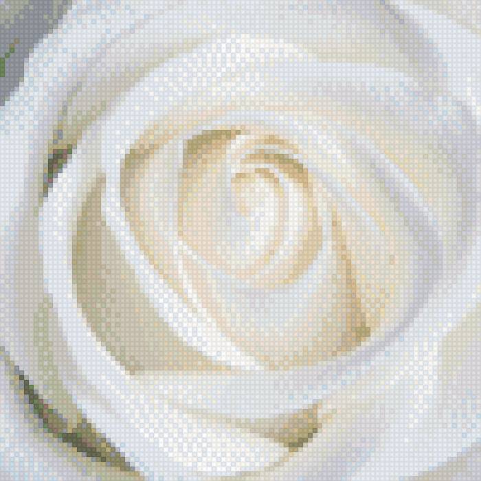 Роза 2 - цветы - предпросмотр