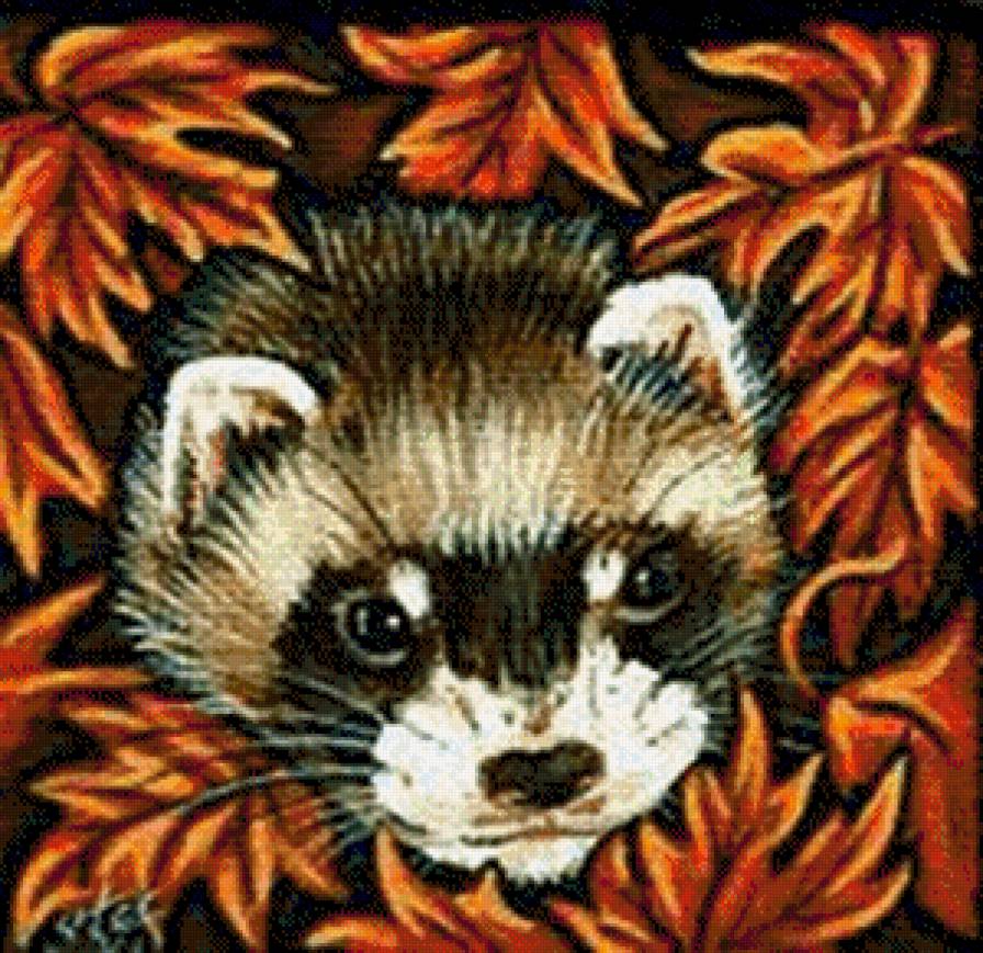 Хорёк в осенних листьях - животные, хищник, хорек, хорьки, листья, осень - предпросмотр