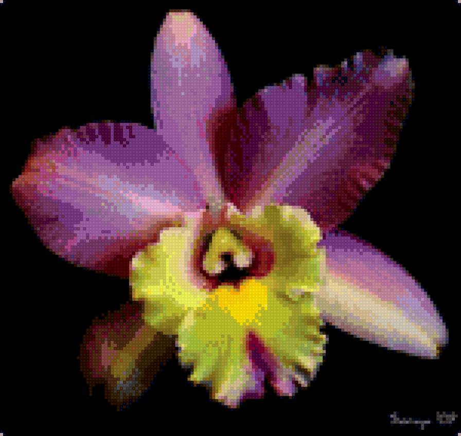 орхидея - подушка, цветок - предпросмотр