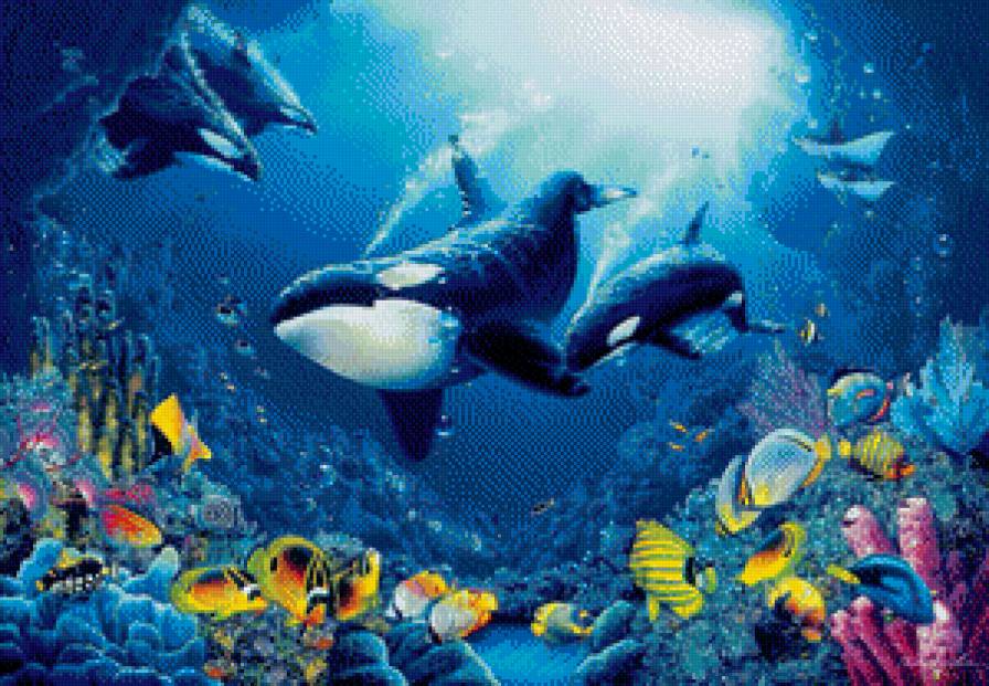 №601710 - море, касатки - предпросмотр