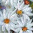 Предпросмотр схемы вышивки «татюрморт, ромашки» (№601733)