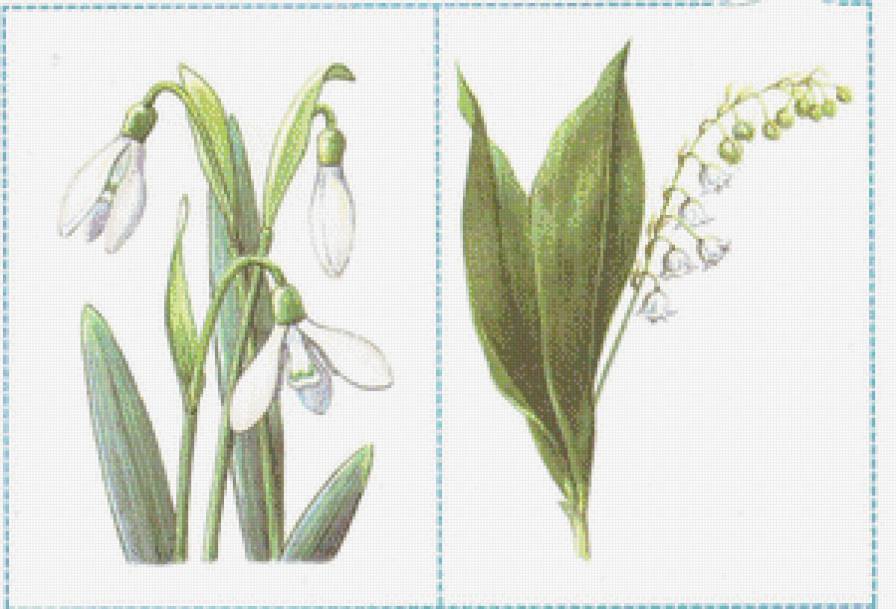 Диптих" Весенние цветы" - ландыши, натюрморт, цветы, подснежники - предпросмотр