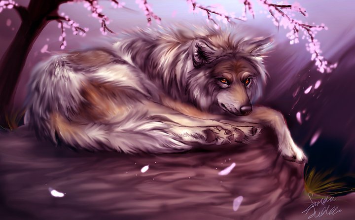 Отдых - сакура, животные, восток, собаки, азия - оригинал