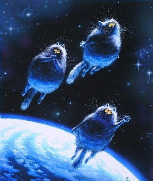 синие коты в космосе - живопись, коты - оригинал