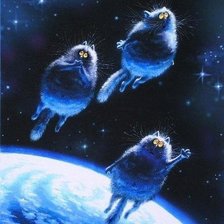 синие коты в космосе