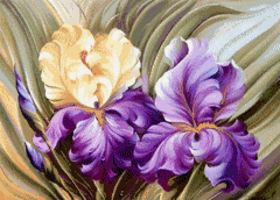 ирисы - предпросмотр