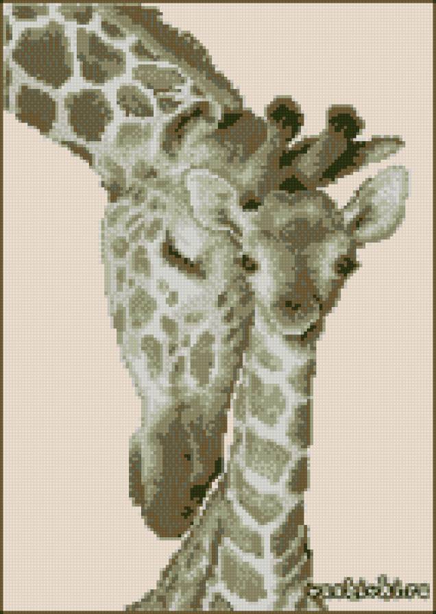 мамина любовь - жираф, животные, мама - предпросмотр