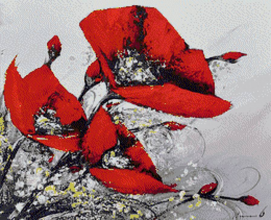 маки - цветы, маки - предпросмотр