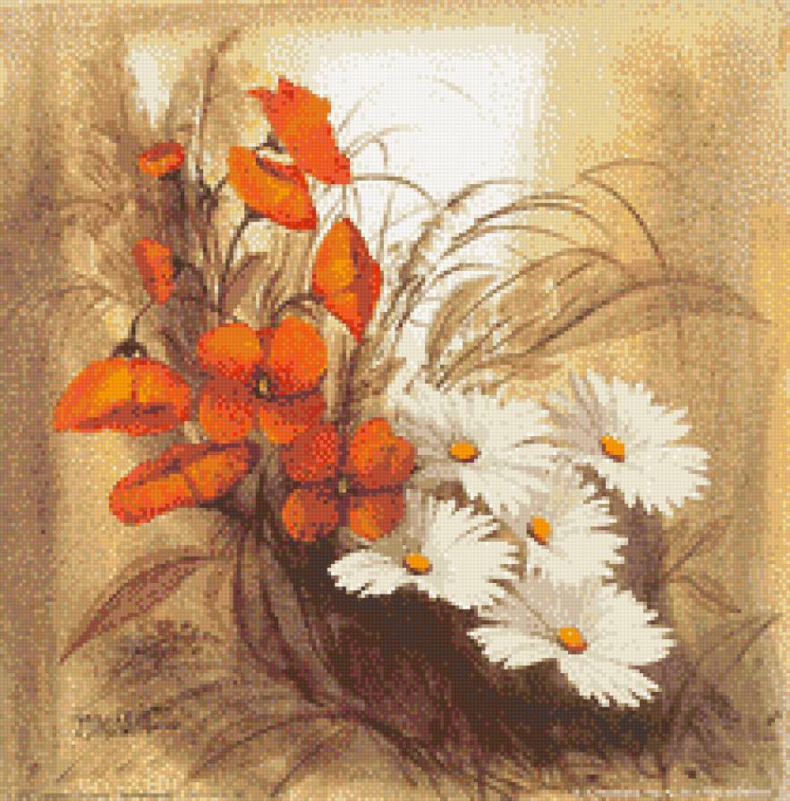 цветы - маки, ромашки, цветы - предпросмотр