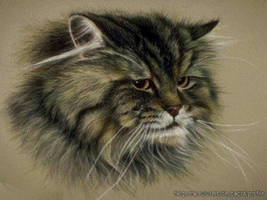 Кот - предпросмотр