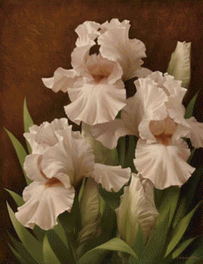 №602363 - предпросмотр