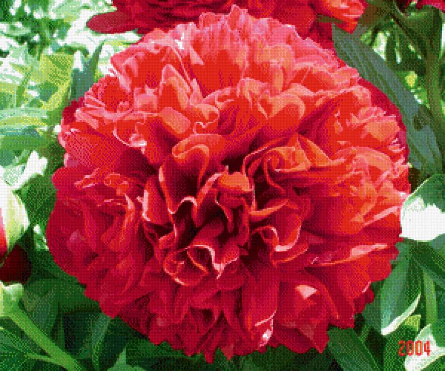 №602395 - предпросмотр