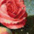 Предпросмотр схемы вышивки «розы» (№602420)