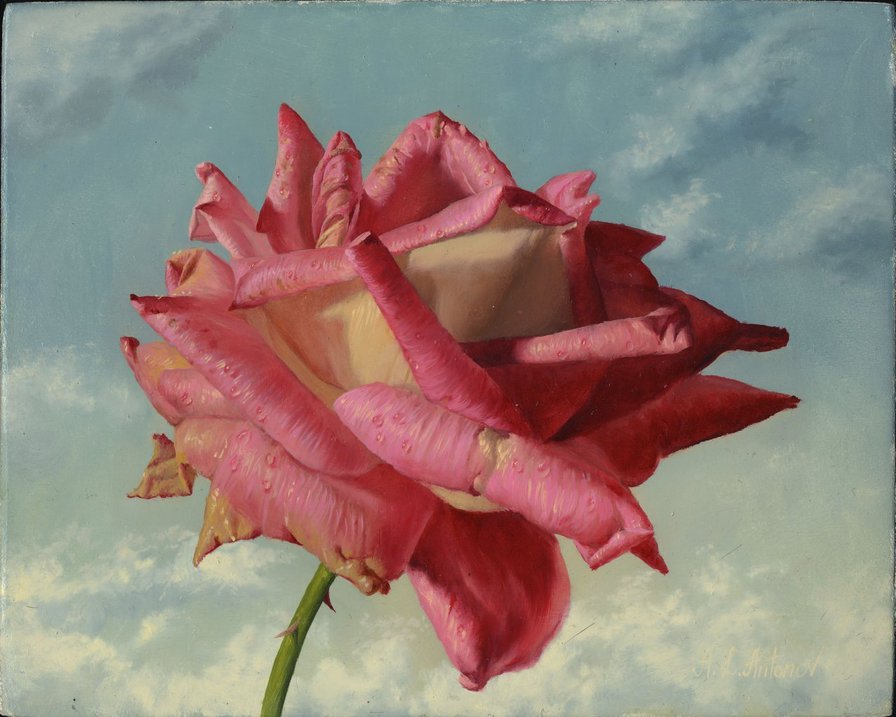 Роза - розы, живопись, алексей антонов - оригинал