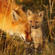 Схема вышивки «№602451»