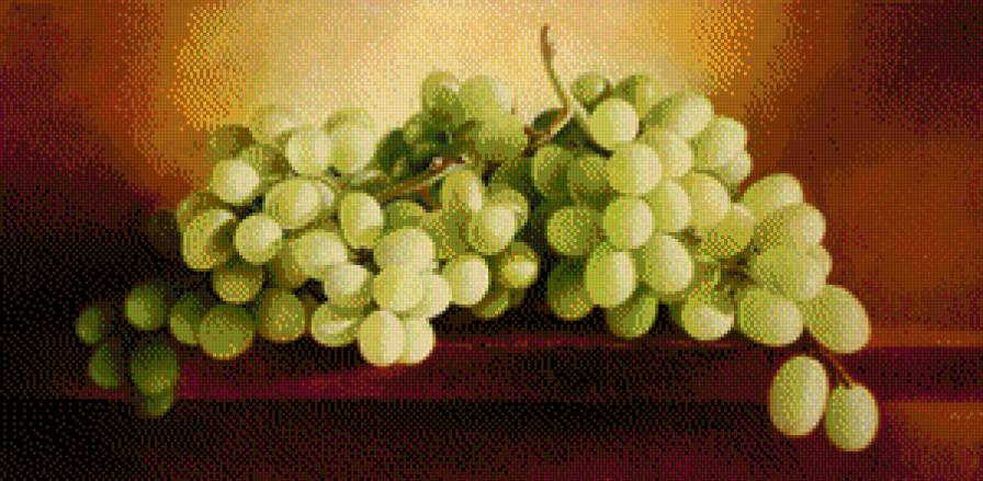 виноград - mickie acierno, живопись, виноград - предпросмотр