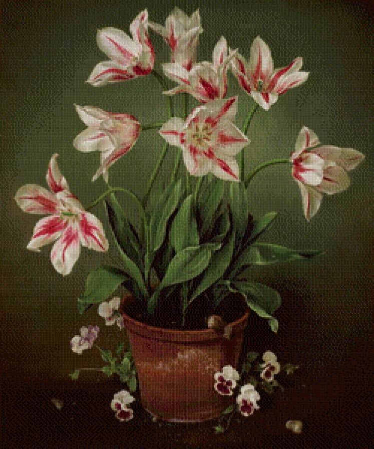 Тюльпаны - цветы, натюрморт - предпросмотр