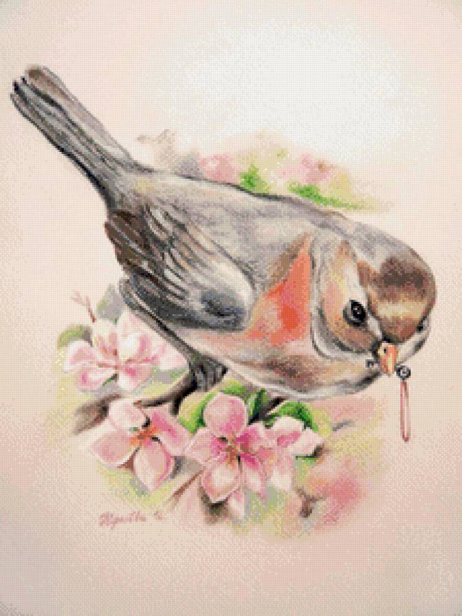 птичка - цветы, птицы - предпросмотр