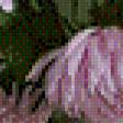 Предпросмотр схемы вышивки «розовый букет» (№602607)