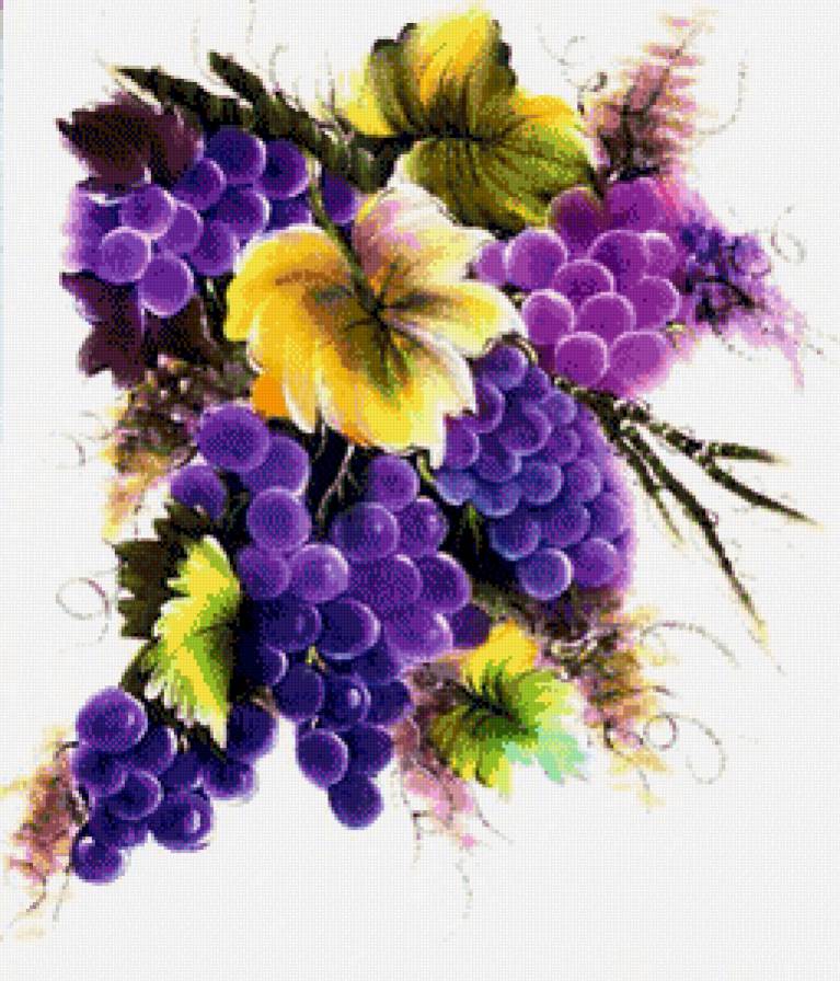 виноград - картина - предпросмотр