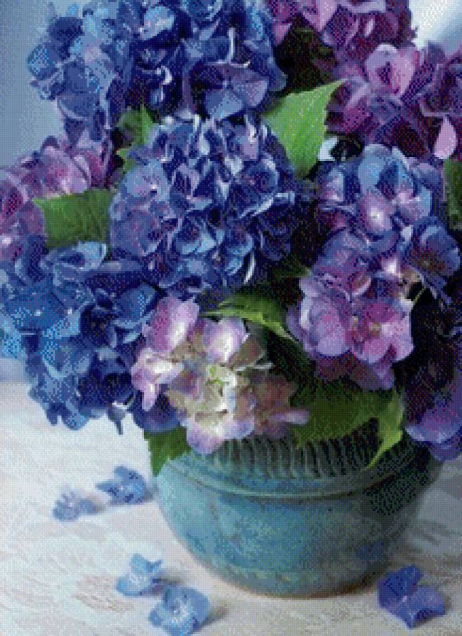 №602863 - букет, гортензия, цветы - предпросмотр