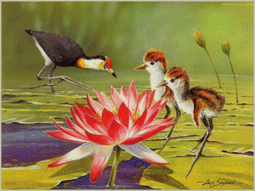 На пруду - азия, птицы, цветы, лотос, восток - предпросмотр