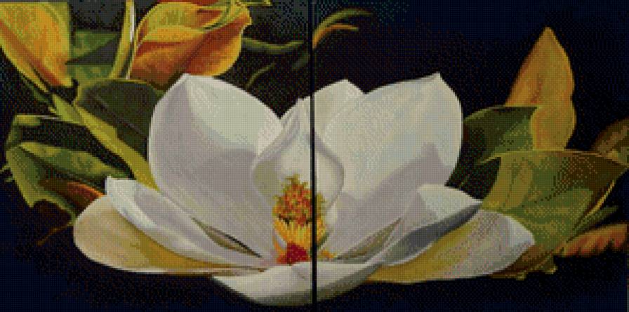 диптих " Магнолия" - диптих, цветы, магнолия - предпросмотр