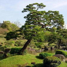 Схема вышивки «лес»