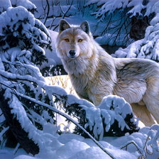 Схема вышивки «№603208»