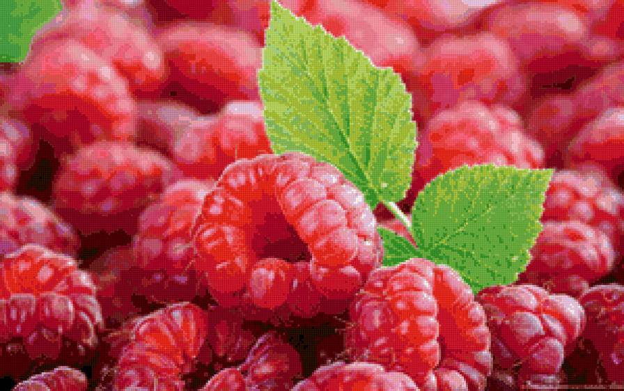 малина - фрукты - предпросмотр