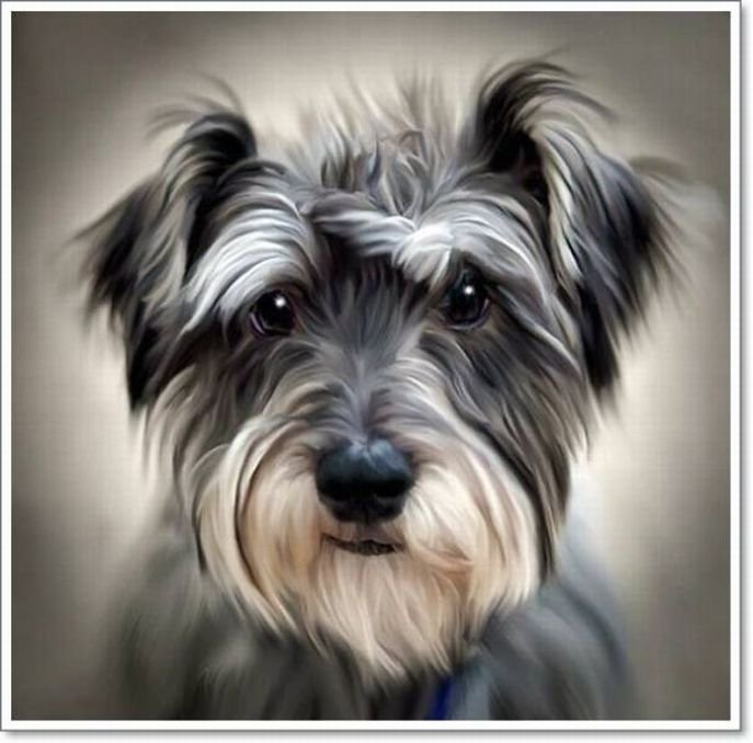 дружок - собаки - оригинал