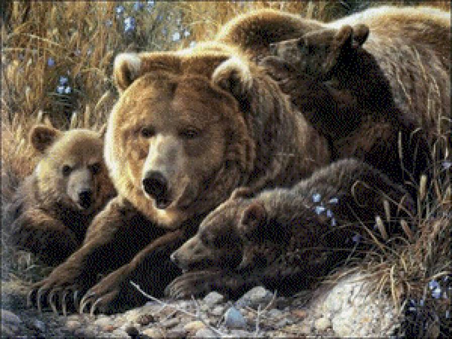 мишкино семейство - медведи, животные - предпросмотр