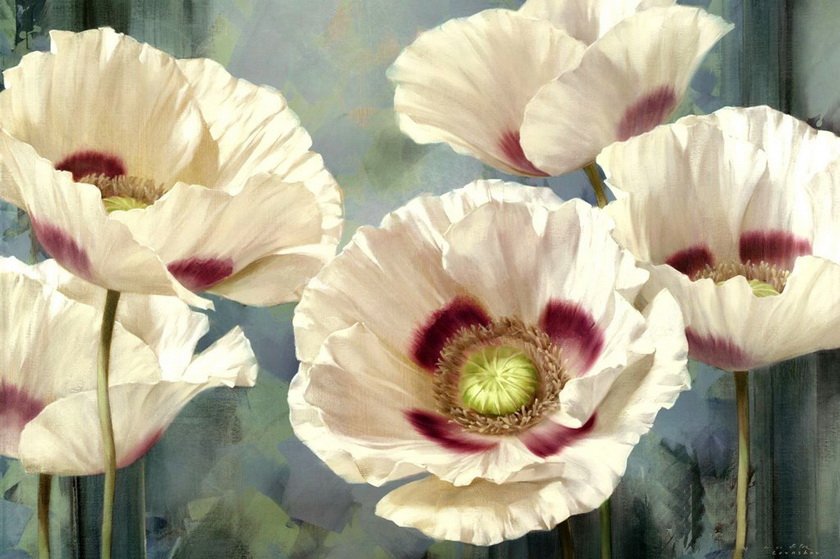 маки - цветы - оригинал