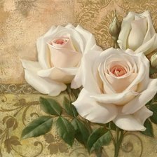 Оригинал схемы вышивки «розы белые» (№603315)