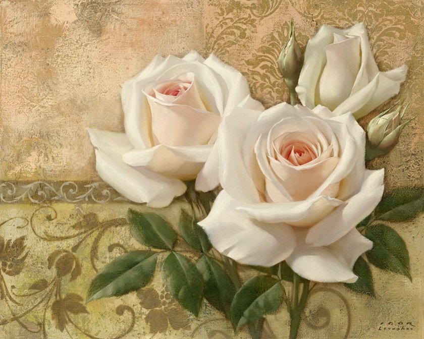 розы белые - цветы - оригинал