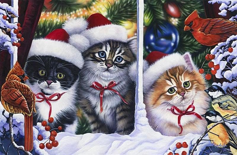 Гости за окном - кошки, животные, птицы, зима, окно - оригинал